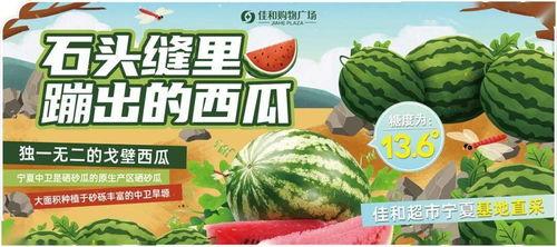 每日吃瓜大赛入口汇聚地,汇聚地揭秘，瓜界风云再起