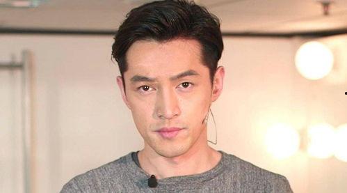 娱乐圈吃瓜爆料文件胡歌,娱乐圈风云再起，揭秘明星背后的故事